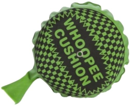 Eddy Toys Whoopee coussin pet vert 18 cm