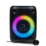 Karaoké Adulte Enfant Enceinte Karaoké 2 Micros Sans Fil Kit Complet Bluetooth Micro Prise USB