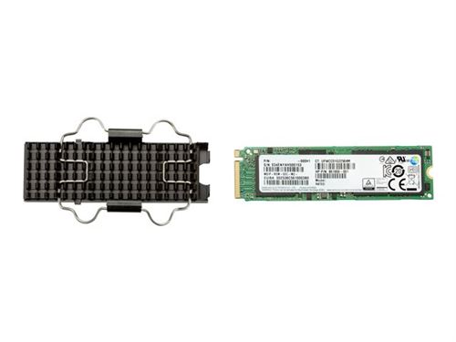 HP Z Turbo Drive G2 - SSD - 1 TB - intern - M.2 - PCIe 3.0 x4 (NVMe) - voor Workstation Z4 G4, Z6 G4