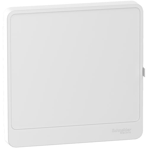 Schneider Electric Noir Porte Styl Resi9 Pour Coffret De 13 Modules 1 Rangée - R9h13421