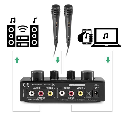 Amplificateur Skytronic karaoké noir USB/SD/FM 160W + 1 Microphone