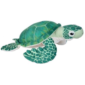 doudou tortue