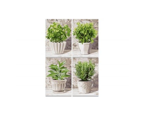 Quattro - 606038020 - puzzle adulte - herbes culinaires - 800 pièces - multicolore