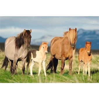 Puzzle enfant 200 pieces - Famille Cheval - SCHMIDT AND SPIELE - 1