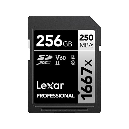 Carte SD Pro Silver Series UHS-II 256Go 1667x V60