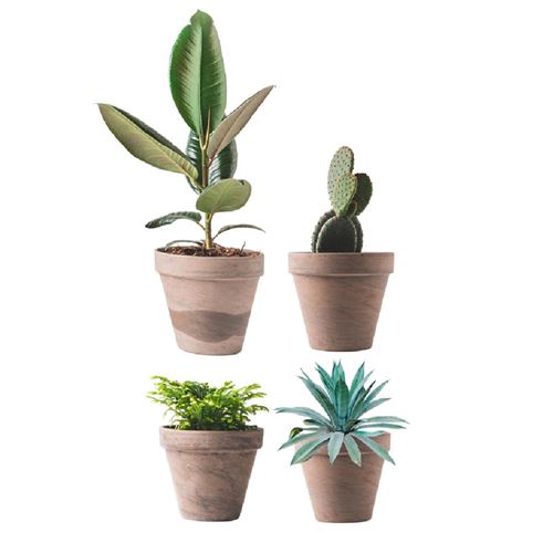Autocollant de vitre Pots de Plantes