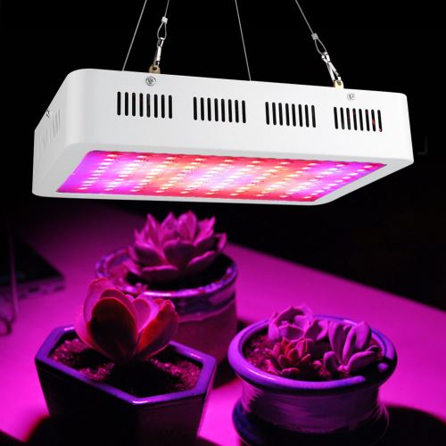 1000W Plant Grow Lamp 100 LEDs Grow Spectre complet léger pour les plantes à effet de serre et d'intérieur
