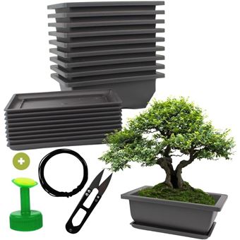 Cultivea - Lot de 10 Pots pour Bonsai avec Soucoupe  Kit Complet pour  Culture et Entretien : Pots en Plastique avec Fil Bonsai, Scateur, Bouchon  Arrosoir et Drainage Intgr - Outillage