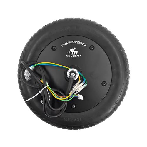 Avizar Chargeur pour Trottinette Xiaomi Scooter Pro 4 Puissance