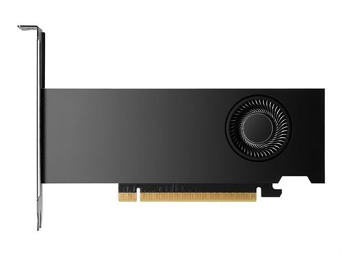 NVIDIA RTX 2000 Ada - Carte graphique - NVIDIA RTX 2000 Ada - 16 Go GDDR6 - 4 x Mini DisplayPort