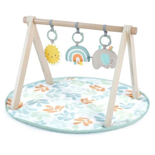 Non Communiqué Vert Ingenuity Tapis D'éveil Sun Valley, Arche De Jeu En Bois - 3 Jouets Amovibles - Pliable