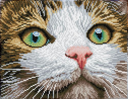 DIAMOND DOTZ D029 - Original 5D Diamond Painting Set Katze mit grünen Augen, Kreativset mit 904 Diamant Mosaiksteinen, Malset 35 x 27 cm, DIY Komplettset für Erwachsene und Kinder ab 8 Jahren