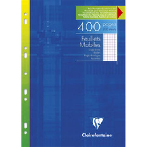 100 FEUILLES, 200 pages A4 petits carreaux (5x5 mm) perforées - 21x29,7 -  NEUF