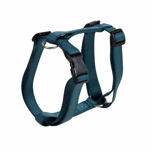 Meilleurs prix pour Harnais pour Chien Essentiel 35cm Émeraude