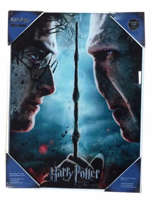 HARRY POTTER - Impression en Verre - Harry / Voldemort - 30X40 Cm