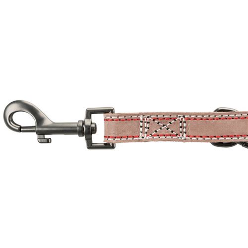 Laisse de 2 M en cuir. taille S-M réglable. pour chien, couleur cappuccino. - Trixie - TR-17922