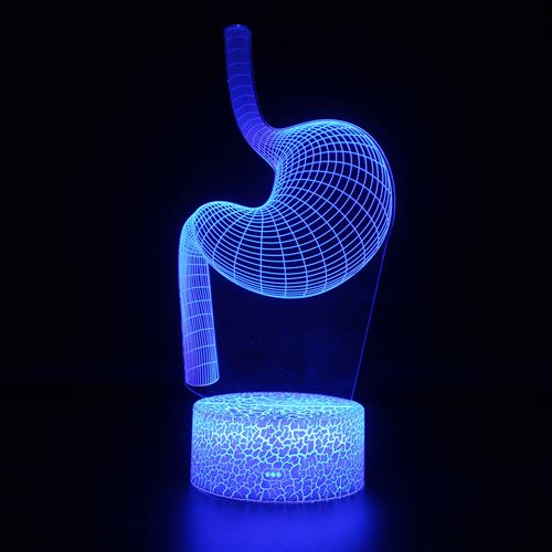 Lampe 3D Tactile Veilleuses Enfant 7 Couleurs avec Telecommande - Organes #339