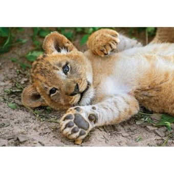 Puzzle 250 Pieces Wwf Lionceau Clementoni 100 300 Pieces Achat Prix Fnac