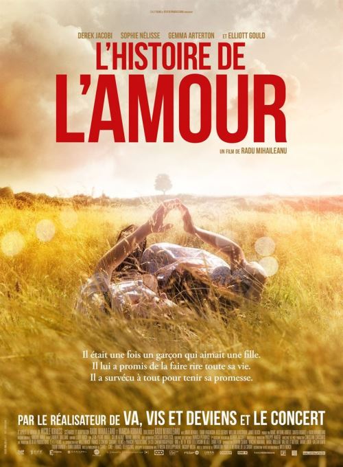L'histoire De L'amour AFFICHE CINEMA ORIGINALE État correct - N/A reconditionné disponible sur Fnac