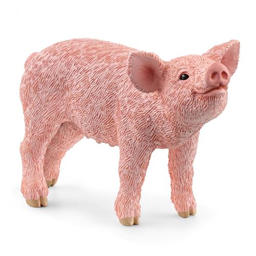 Schleich Farm World Piglet Figure Multicolore