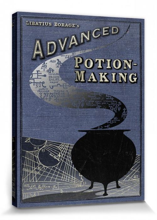 Harry Potter Poster Reproduction Sur Toile, Tendue Sur Châssis - Advanced Potion Making (80x60 cm)