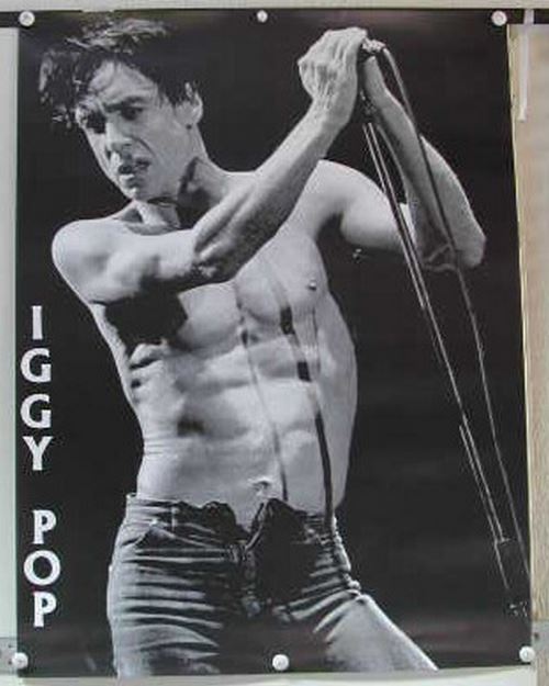 Pop Iggy - 60x80 cm - AFFICHE / POSTER