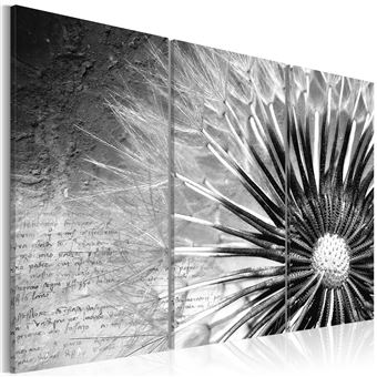Tableau Pissenlit Noir Et Blanc Decoration Image Art Achat Prix Fnac