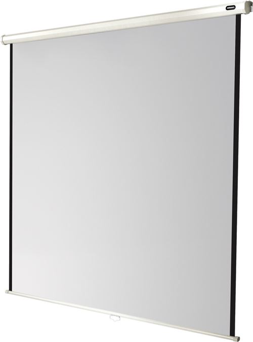 Celexon Economy Manual Screen - Projectiescherm - aan het plafond monteerbaar, monteerbaar aan muur - 111 (283 cm) - 1:1