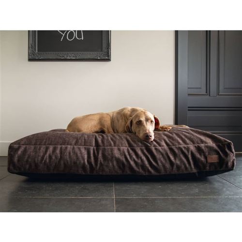 Comparer les prix de Designed by Lotte Coussin pour chiens Unnay Marron 100x70x15 cm