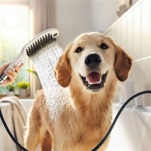 Pommeau de douche pour chien HANSGROHE DogShower 3 jets Noir - Accessoires  salles de bain et WC - Achat & prix