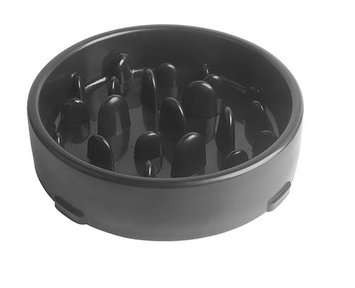 Gamelle Anti Glouton avec Base Antidérapante