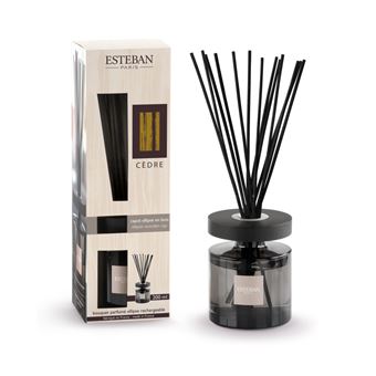 Bouquet parfumé Ellipse Cèdre 200ml - Esteban - Gris - Verre