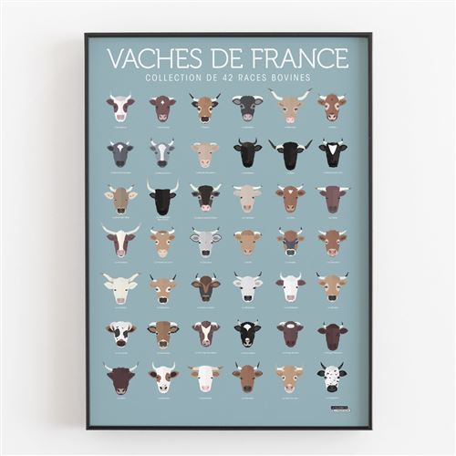 Affiche d'art La Majorette à Moustache Vaches de France 50 X 70 cm
