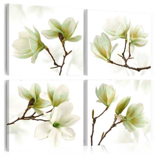 Tableau - Admiration of Magnolia .Taille : 80x80