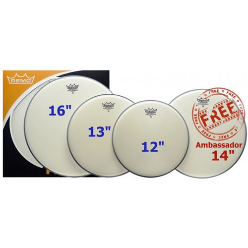 Pack ambassador sablees - 12/13/16 + 14-Remo