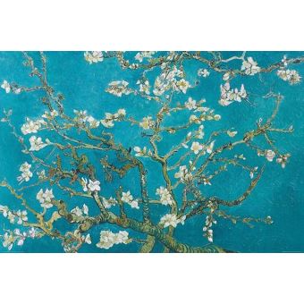 Van gogh cerisier japonais online