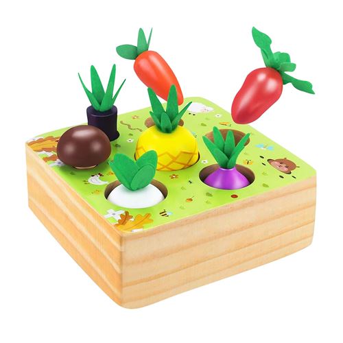 Jeux montessori boîte de carotte