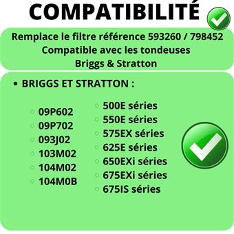 Filtre à Air Briggs & Stratton - Lot De 2, Compatible Séries 500E à 675IS - Remplace 593260 / 798452