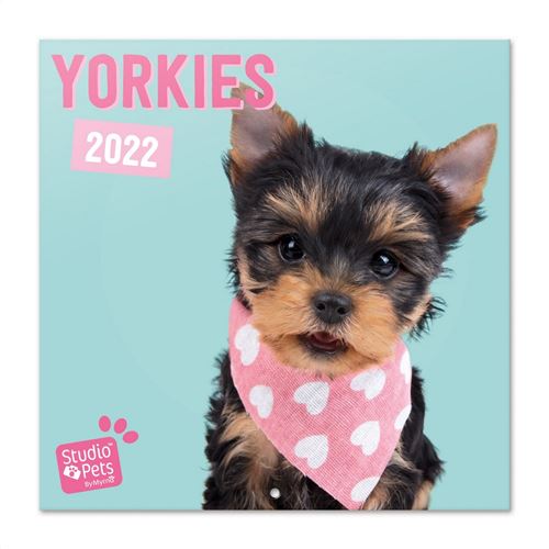 Calendrier 2022 30X30 Studio Pets Yorkie