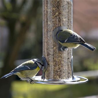 Mangeoires 38 cm en métal – Distributeur de nourriture pour oiseaux,  station | bol