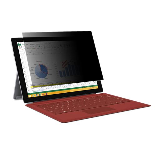 Protège écran de confidentialité et anti lumière bleue pour ordinateur portable 17.3 16/9e 382X215mm