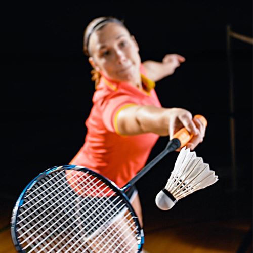 Volant de badminton lot de 12 professionnel en plumes - Accessoire badminton  - Achat & prix