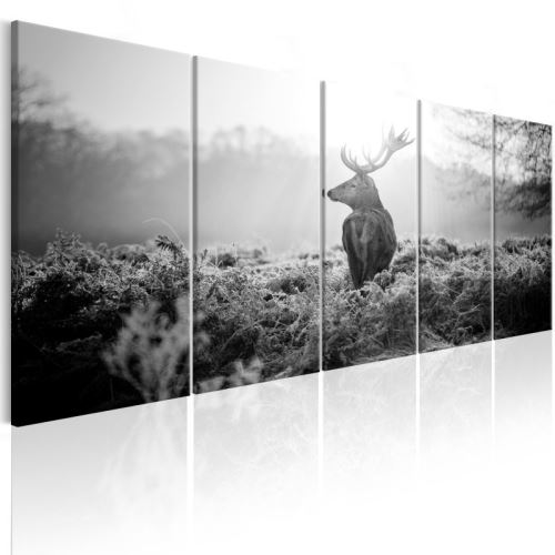 Tableau - Field Guard .Taille : 200x80