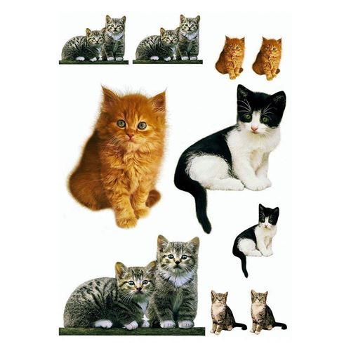 DecoSoon Stickers Chatons (70 x 50 CM)