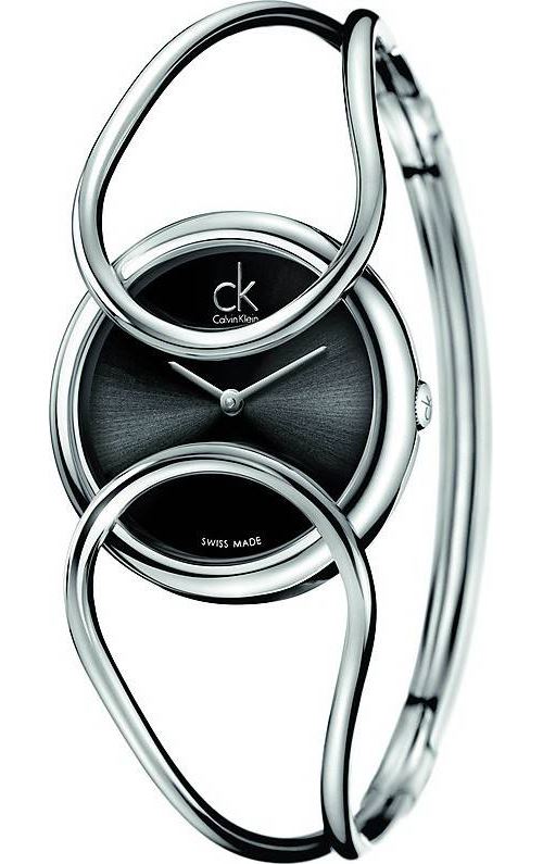 Montre Femme Calvin Klein K4C2S111 Argent