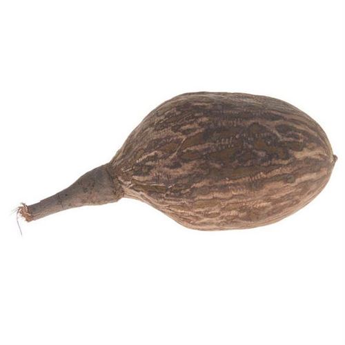 Fruits Baobab, 5ème.