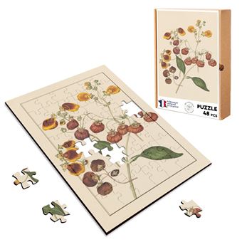 Puzzle Dinosaures 24 Pièces 12 X 16 Cm Box - 17.5 X 25 Cm Puzzle