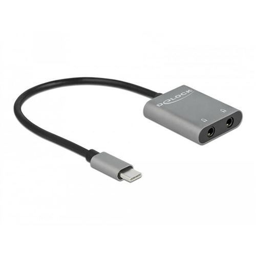 DeLock : Adaptateur USB-C vers 2 x stéréo Jack 3,5 mm - Adaptateur et  convertisseur - Achat & prix