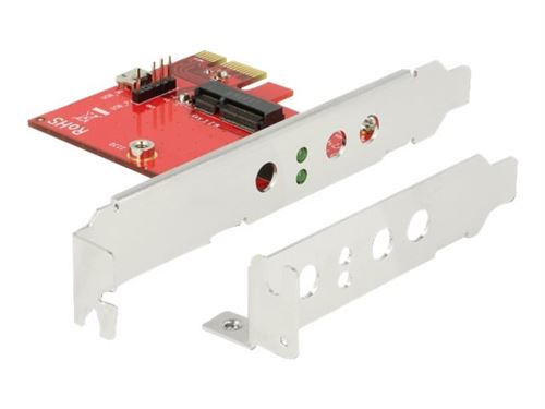 Delock - Controller voor opslag - M.2 - M.2 Card laag profiel - PCIe x1, USB 2.0