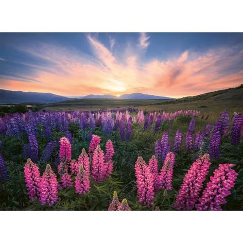 Ravensburger Puzzle Adulte Les Lupins - Image 2